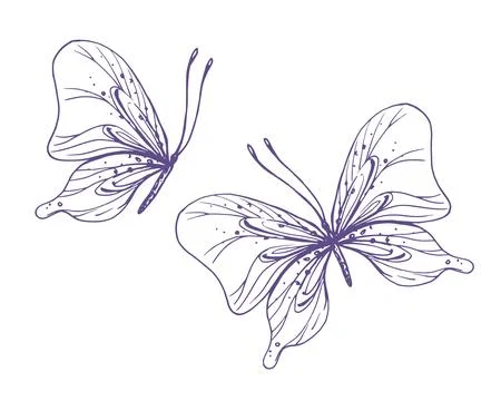 Delicate butterflies with patterns on the wings, simple, sweet, light, romantic Stock Illustration