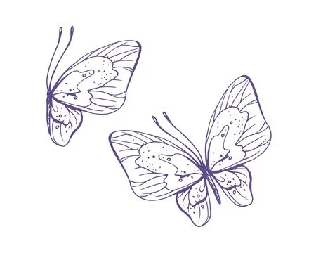 Delicate butterflies with patterns on the wings, simple, sweet, light, romantic 스톡 일러스트