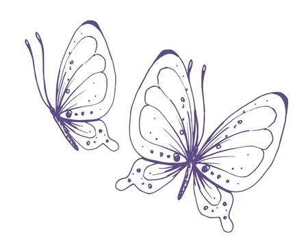 Delicate butterflies with patterns on the wings, simple, sweet, light, romantic Illustrazione stock