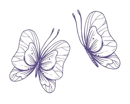 Delicate butterflies with patterns on the wings, simple, sweet, light, romantic Illustrazione stock