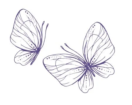 Delicate butterflies with patterns on the wings, simple, sweet, light, romantic Stock Illustration