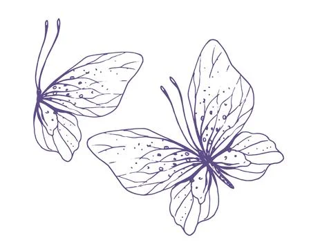 Delicate butterflies with patterns on the wings, simple, sweet, light, romantic Stock Illustration
