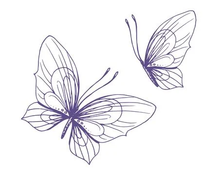 Delicate butterflies with patterns on the wings, simple, sweet, light, romantic Stock Illustration