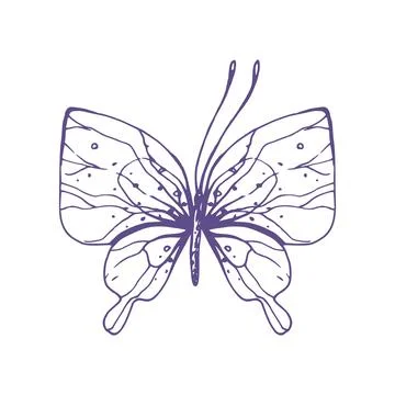 Delicate butterfly with patterns on the wings, simple, sweet, light, romantic Stock Illustration