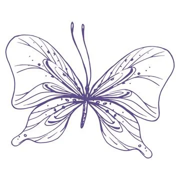 Delicate butterfly with patterns on the wings, simple, sweet, light, romantic 스톡 일러스트