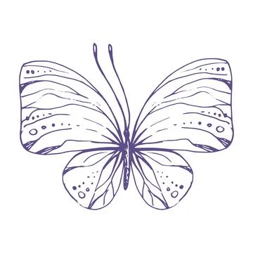Delicate butterfly with patterns on the wings, simple, sweet, light, romantic Stock Illustration
