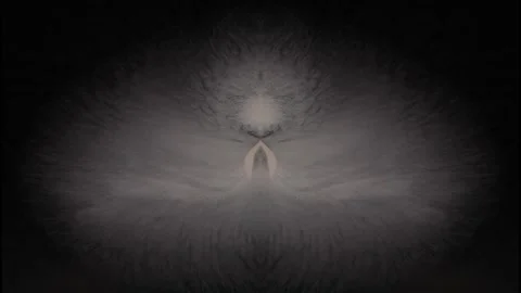 Delicate B&amp;W feather pattern changes over time - for titles or transitions. Stock Footage 255852897