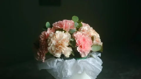 Delicate carnation bouquet on dark background Stock-Footage 311944006