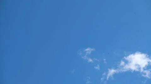 Delicate clouds in the sky. White clouds fly across the blue sky. Stock Footage 195535666