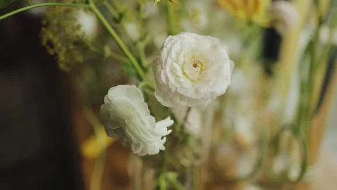 A delicate combination of white ranunculus flowers and fresh greenery creates a Stock Footage 318065799