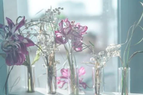Delicate composition of dried flowers on the windowsill near the window Stock Photos