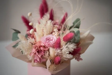 Delicate composition of dry and stabilized flowers Stock Photos