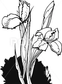 Delicate delicate graphic flowers and buds Stock Illustration