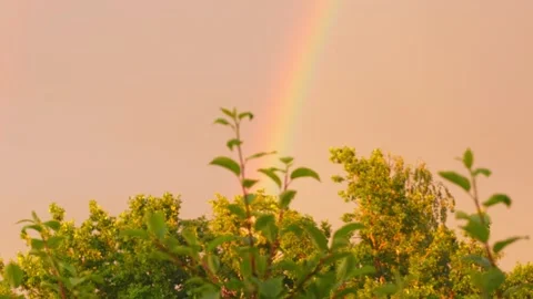 Delicate delightful sight of rainbow in utopia Stock Footage