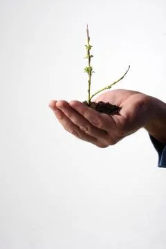 Delicate environment Stock-Fotos