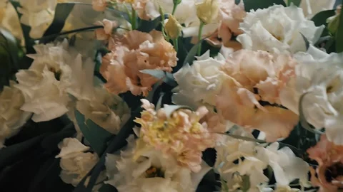 Delicate Eustoma Flowers gently swaying in soft light Stock Footage 311336114