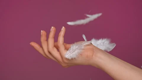Delicate Feathers Gently Falling onto Open Women Palm Stock Footage 313279373