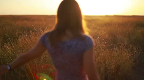 Delicate female hands stroking summer faded grass at sunset Stock Footage 68821619