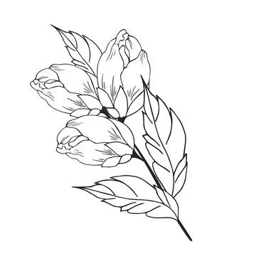 Delicate floral composition, background of lush, luxurious flowers, buds, l.. Stock Illustration