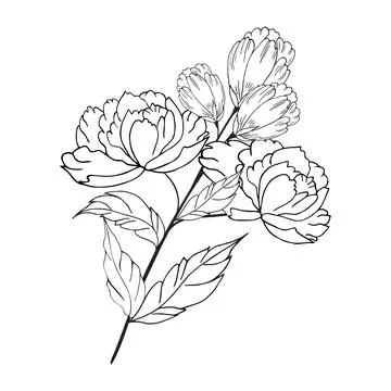Delicate floral composition, background of lush, luxurious flowers, buds, l.. Stock Illustration