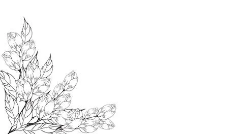 Delicate floral composition, background of lush, luxurious flowers, buds, l.. Stock Illustration