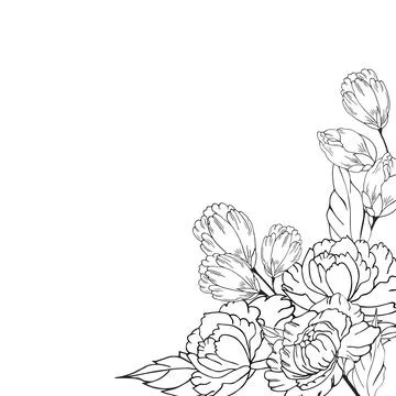 Delicate floral composition, background of lush, luxurious flowers, buds, l.. Stock Illustration