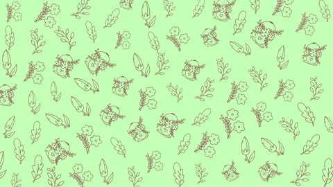 Delicate floral pattern with hand-drawn leaves and blossoms on pastel green.. 스톡 동영상 331732988