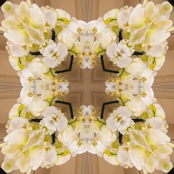 Delicate floral pattern, square, tile - an element of the background of the s Stock Photos