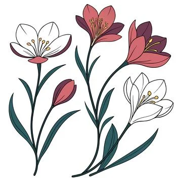 Delicate Flower Illustrations Set for Branding Stock Illustration