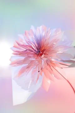 Delicate flower with soft colors Illustrazione stock