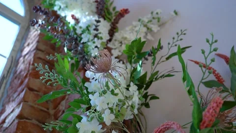 Delicate flowers Stock Footage 148092386
