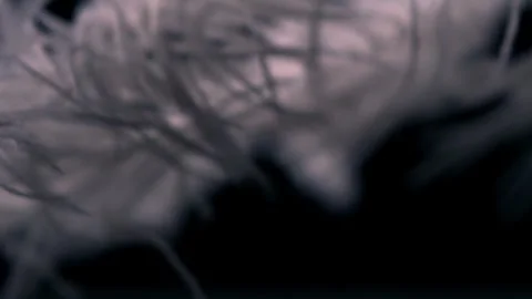 Delicate fluffy feather floating gently in dark ethereal atmosphere Stock Footage 327570754