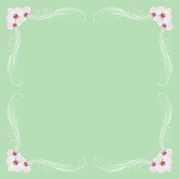 Delicate frame with orchid flowers Stock Illustration