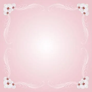 Delicate frame with orchid flowers Stock Illustration