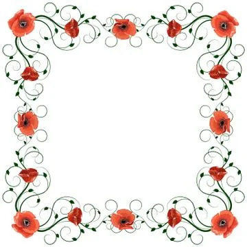 Delicate frame with red poppies isolated on white background Stock Illustration
