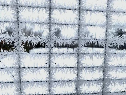 Delicate frost patterns cover a window grid, creating intricate designs against Stock Photos