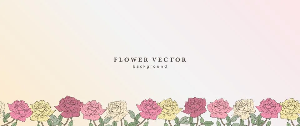 Delicate gradient floral background with yellow and pink roses. Stock Illustration