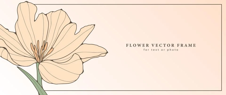 Delicate gradient floral frame for text or photo. Stock Illustration