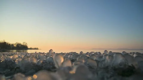 Delicate ice balls form on the grass Balaton lake in winter Video stock 326321334