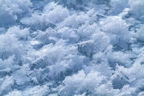 Delicate ice crystals on the surface of the ice Stock Photos