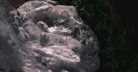 Delicate lace fabric draped on greenery in soft light 스톡 동영상 237967613