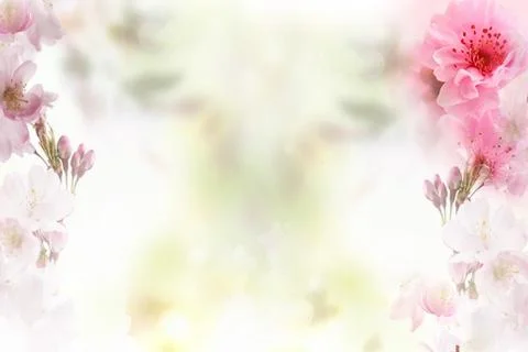 Delicate light background, large pink flowers at the edges of the image Stock Illustration