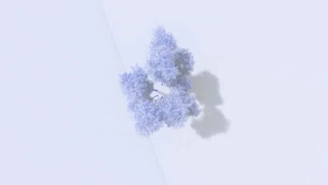Delicate Light Blue Dried Flowers on Minimalist White Background Stock Footage 330919501