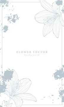 Delicate light floral background with blue lilies. Stock Illustration