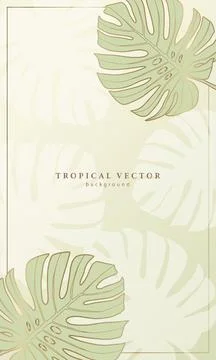 Delicate light green tropical background with monstera leaves. Stock Illustration