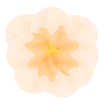 Delicate light orange flower blooming gently in spring Stock Illustration