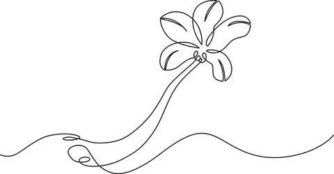 A delicate line drawing of a flower with a long stem and leaves Vector Stock Illustration