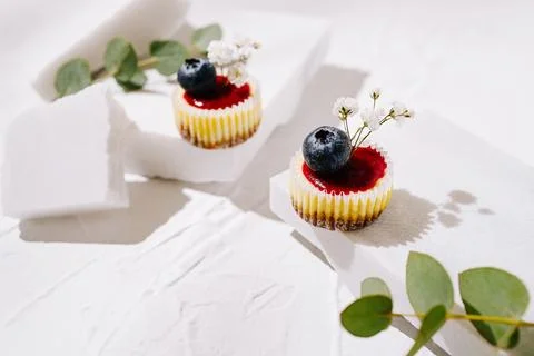 Delicate mini cheesecakes adorned with fresh blueberries and flowers 库存照片