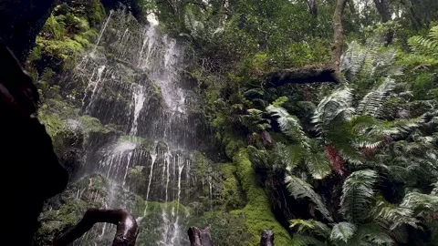 Delicate mountain waterfall over fallen tree. Stock Footage 170139296