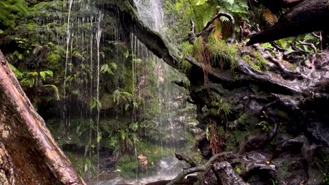 Delicate mountain waterfall over fallen tree. 스톡 동영상 170140827